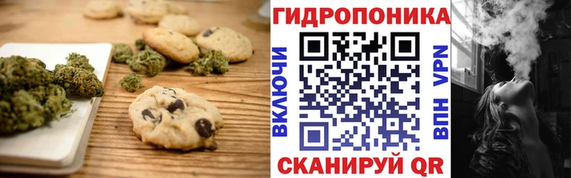 даркнет сайт  мега онион  Cannafood марихуана  Звенигово 