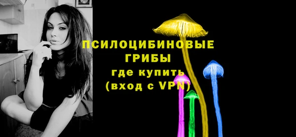 стаф Алексеевка