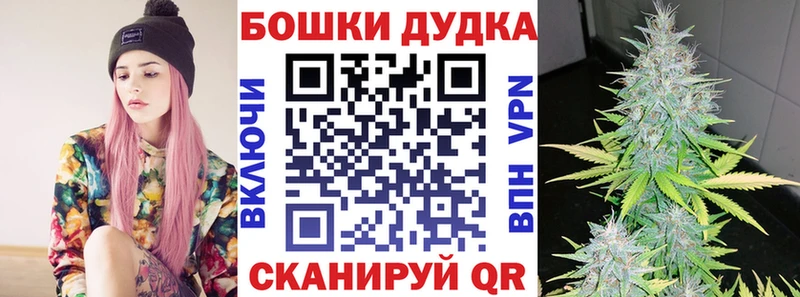 Бошки Шишки AK-47  kraken   Звенигово  нарко площадка какой сайт  как найти закладки 